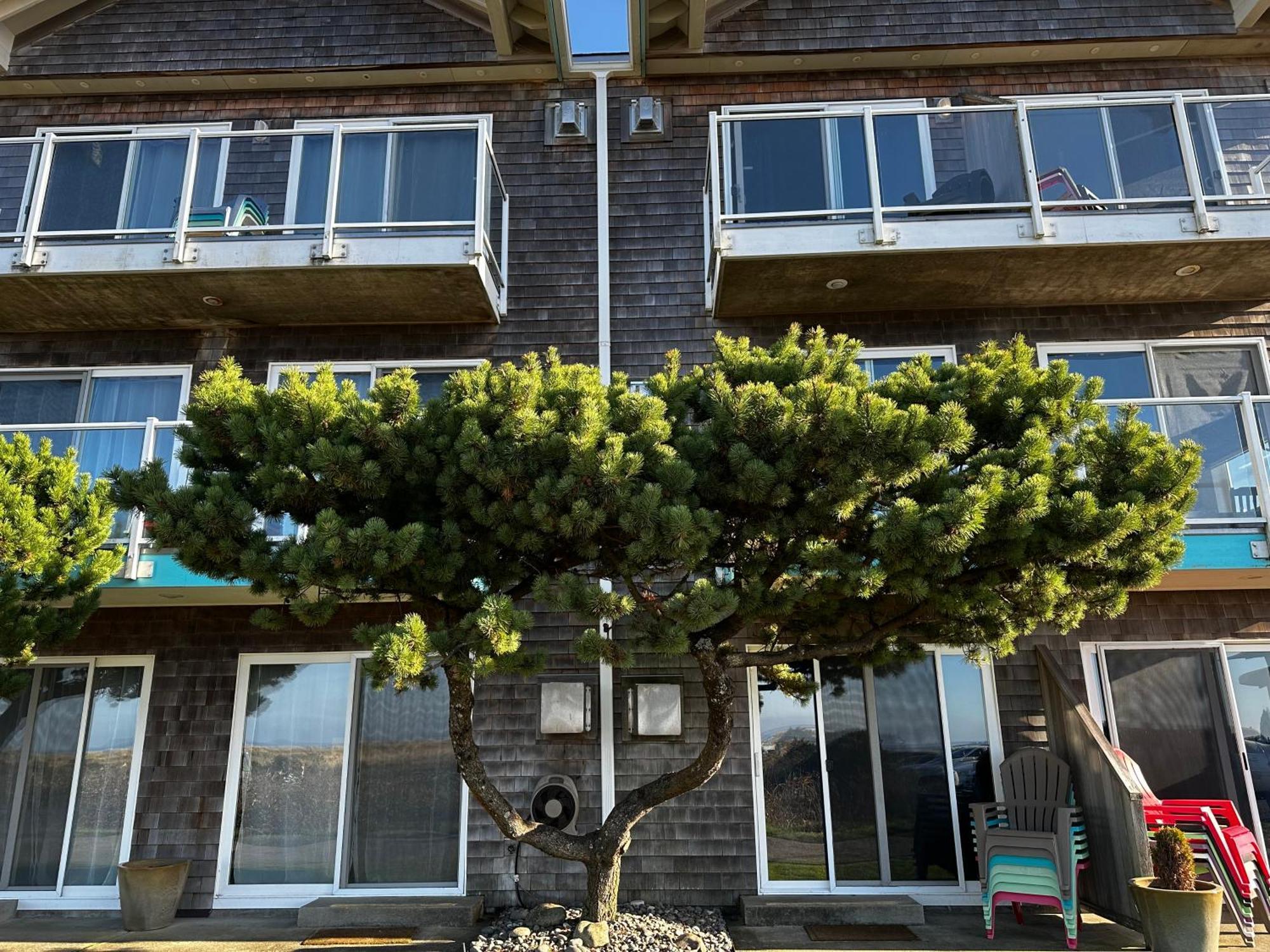 Inn At The Shore Сийсайд Екстериор снимка